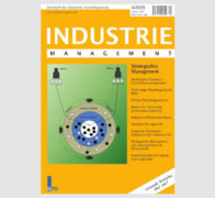 IM 4/2009: Strategisches Management