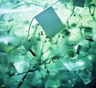 COVID-19: A Catalyst for Digitalization and Transparency?