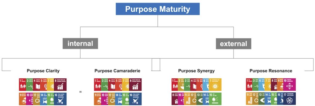 Linking the four purpose dimensions with the UN Sustainable Development Goals