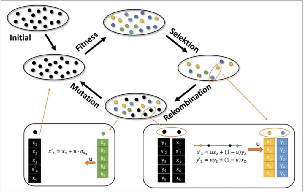 Schematische Darstellung des Ablaufs eines evolutionären Algorithmus, sowie beispielhafter Mutations- und Rekombinationsoperatoren