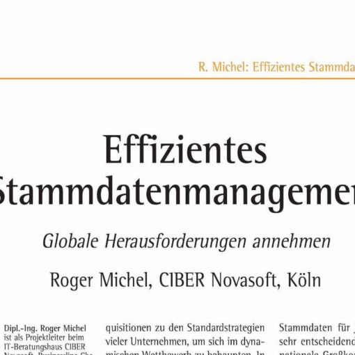 Efficient Masterdata Management