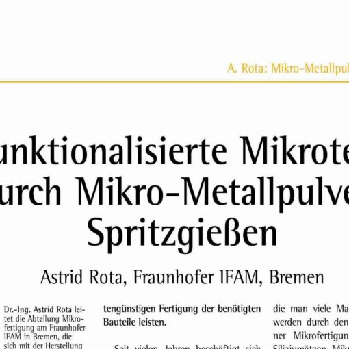 Functional Micro Parts via Micro Metal Injection Molding