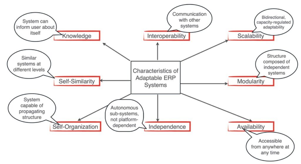 Criteria for the adaptability of ERP systems