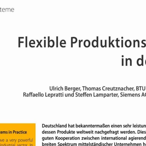 Flexible Production Systems in Practice