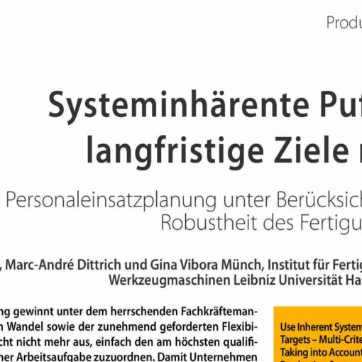 Systeminhärente Puffer für langfristige Ziele nutzen