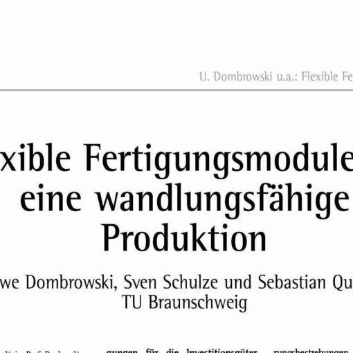 Flexible Production Modules for the Mutable Production