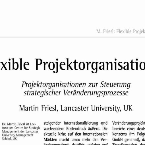 Flexible Project Organizations: Project Organizations to Steer Strategic Change