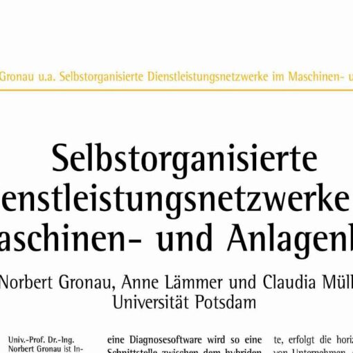 Selbstorganisierte Dienstleistungsnetzwerke im Maschinen- und Anlagenbau