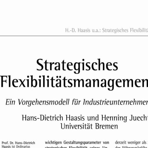 Strategisches Flexibilitätsmanagement