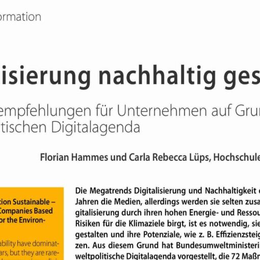 How to Make Digitalization Sustainable