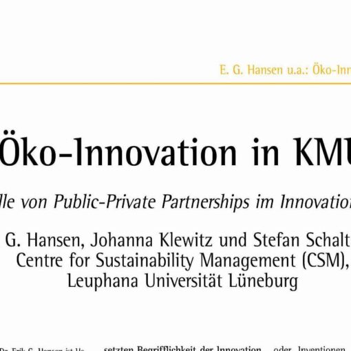 Eco-Innovations in Small and Medium-Sized Enterprises (SMEs)