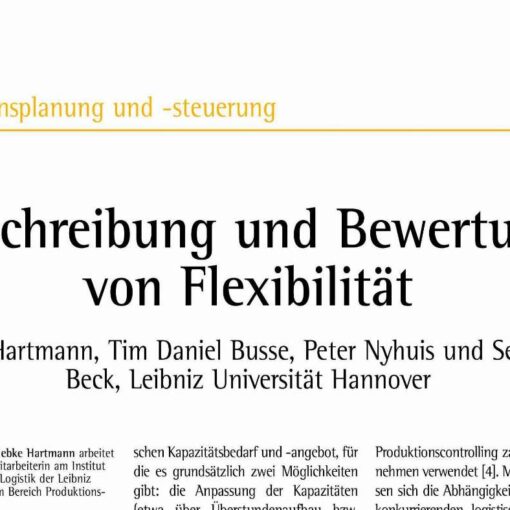 Modelling and Measurement of Flexibility