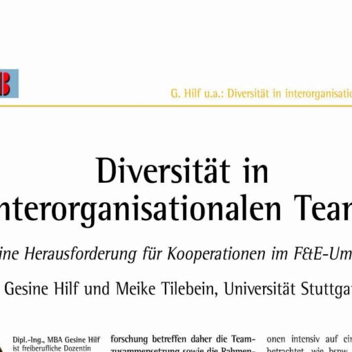 Diversity in Interorganizational Teams