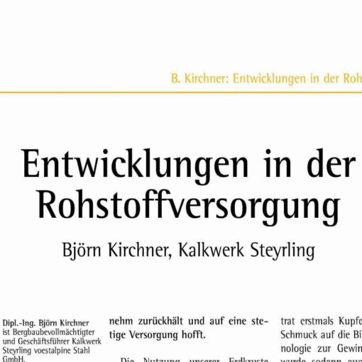Entwicklungen in der Rohstoffversorgung
