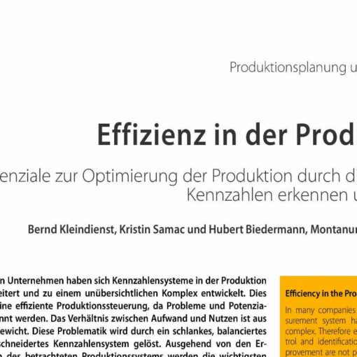 Efficiency in the Production