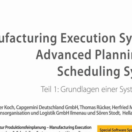 Special Software Systems for Detailed Production Planning