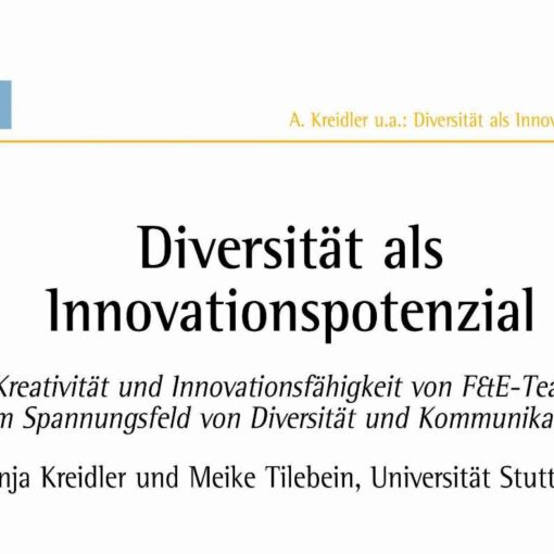Diversity as a Potential for Innovation