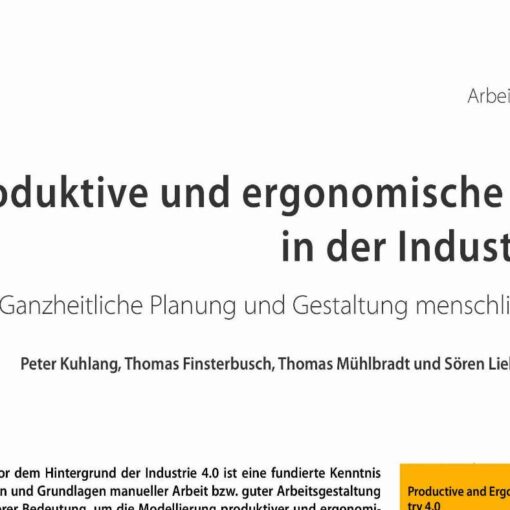 Productive and Ergonomic Work in Industry 4.0