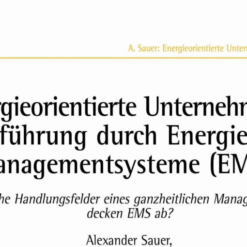 Energy-Oriented Management with Energy Management Systems?