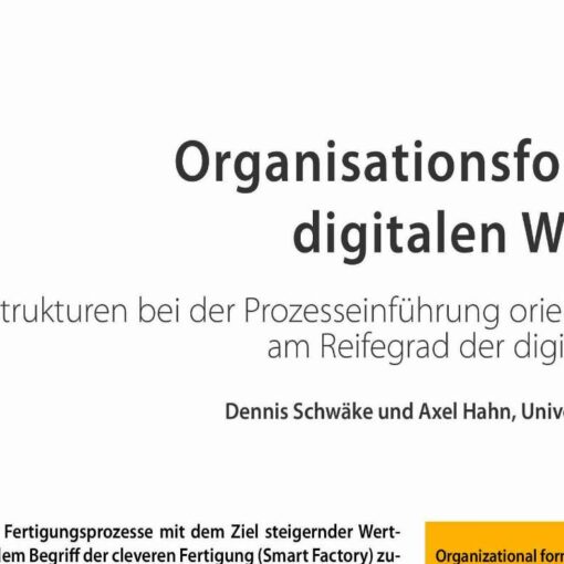 Organisationsform des digitalen Wandels