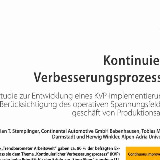 Continuous Improvement Process (CIP)