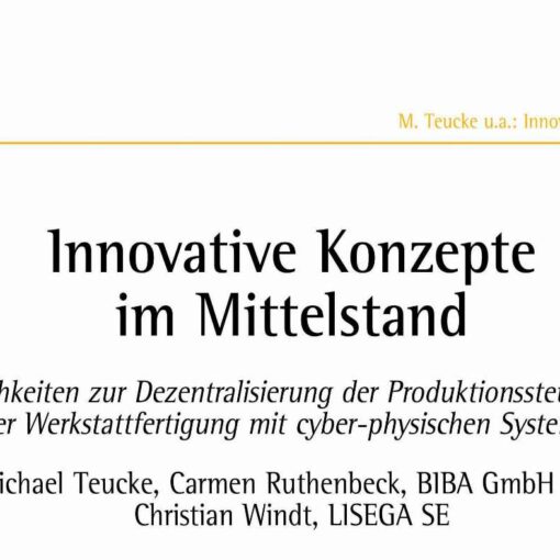 Innovative Concepts in Medium-Sized Businesses