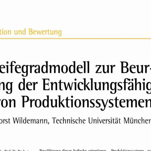 Maturity Level of Production Audits