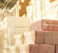 Steigerung der Logistikleistung durch Process Mining
