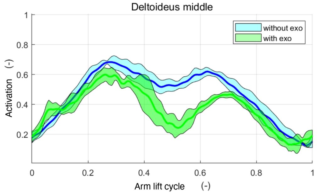 Figure 3: Muscle activation of the middle deltoid muscle during an arm lift cycle.