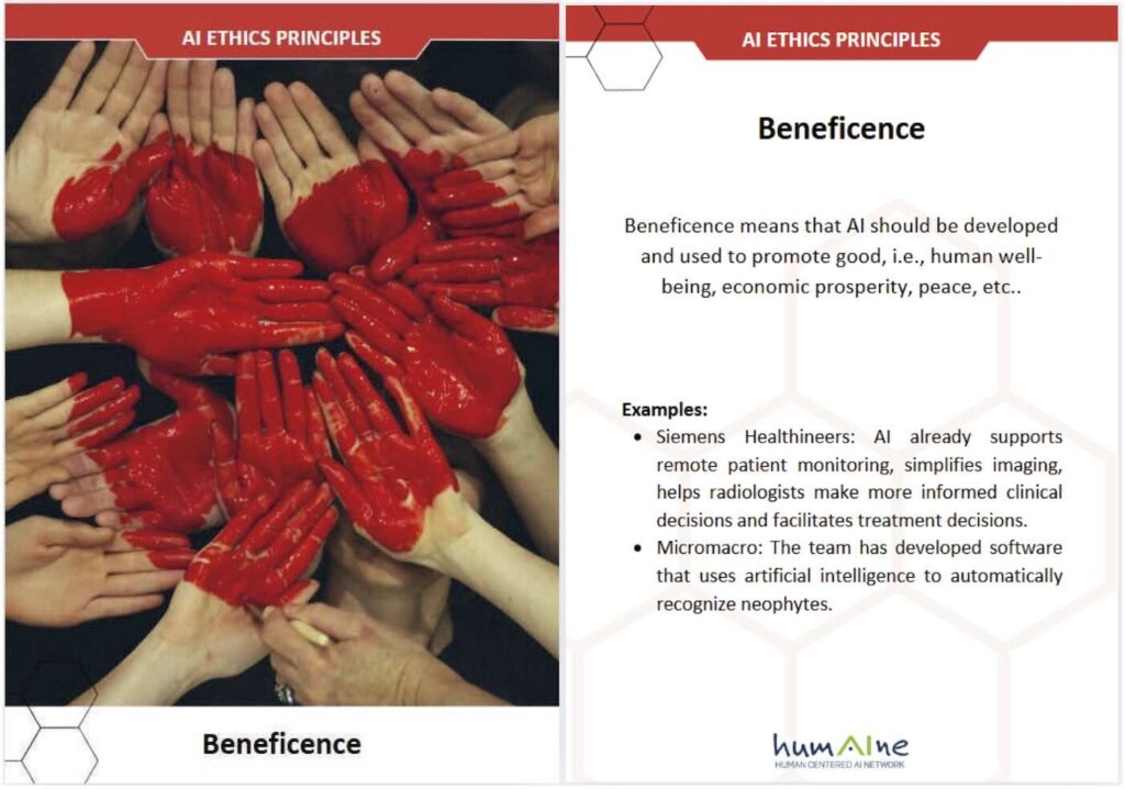 Figure 3: Example of an AI Ethic Principles Card (own illustration).