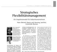 Strategisches Flexibilitätsmanagement