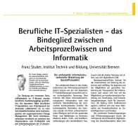 Berufliche IT-Spezialisten