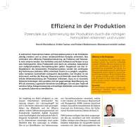 Efficiency in the Production
