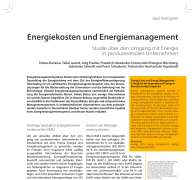 Energiekosten und Energiemanagement