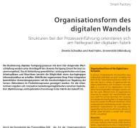 Organizational form of the Digital transformation